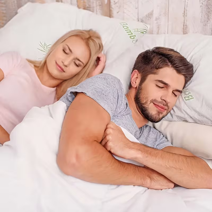 2Pcs Queen / King Size Shredded Memory Foam Pillows, Adjustable Bamboo Bed Pillows for Head & Neck Support, Hypoallergenic Sleep Pillow with Washable Cover